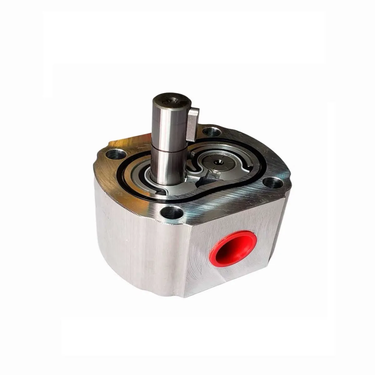 Kit Reparo Bomba Hidraulica 19 cm3